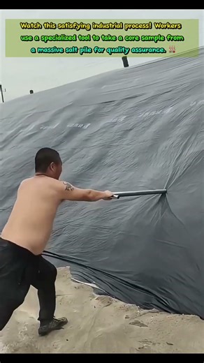 😲 Massive Salt Pile Quality Check! (Industrial Core Sampling) #shortsfeed