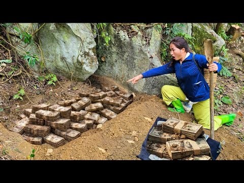 Digging for wild potatoes in the forest - but what I found beneath the ground stunned me.