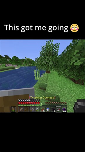 Who knew Minecraft was so romantic?