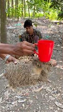 Amazing Bamboo Root Mug Making | Incredible Handmade Craftsmanship