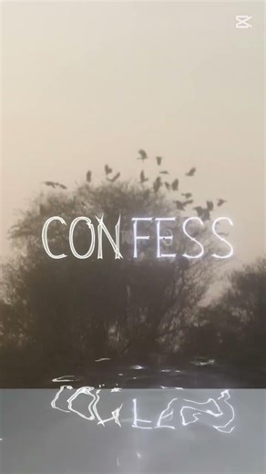 sunset bird's and tree pics ❤️💓❣️💖