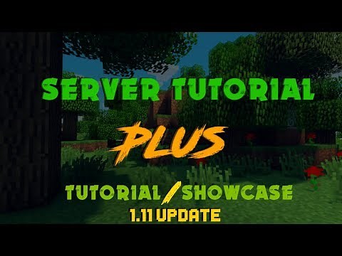 Server Tutorial Plus [1.11 update] - Tutorial/Showcase - Basics
