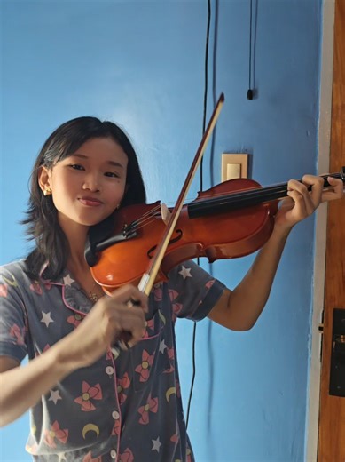 Beginner's Guide to Learning the Violin