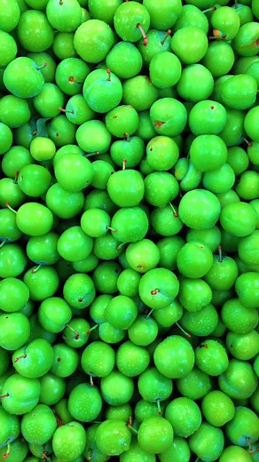 Delicious Green Plum Recipes and Dishes