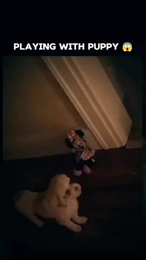 Playing with puppy 😱 #scary #puppy #eerie #chilling #spooky | Mystery Lore