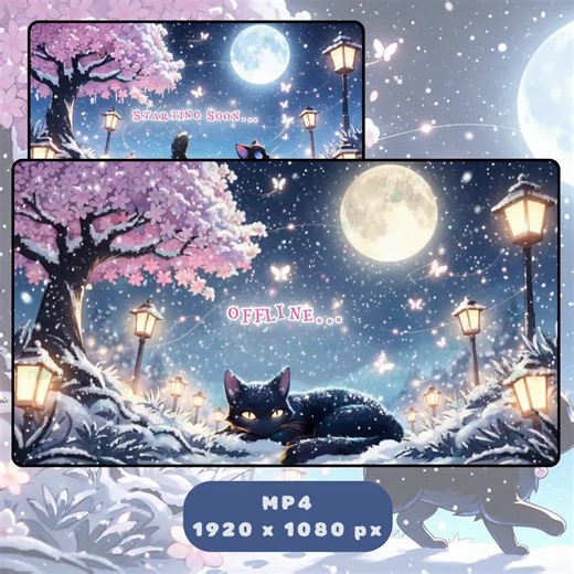 Animated Twitch Screens: Winter Night Sakura Starting Soon and Offline Scenes (MP4 Digital Download) - Etsy