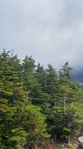 20K views · 340 reactions | UPDATE at 10:50am Oct 8th :: We are open to the SUMMIT for cars and guided tours! Motorcycles continue to be on weather hold. Gorgous clouds, foliage, and views. Come and experience Mt. Washington via the Auto Road. #breakintheclouds | Mt. Washington Auto Road | Facebook