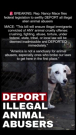 🚨 BREAKING: Rep. Nancy Mace files federal legislation to swiftly DEPORT all illegal alien animal abusers MACE: