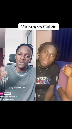 Mickey vs Calvin