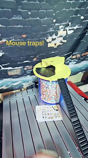 Effective Mouse Traps for a Rodent-Free Home