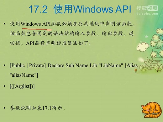 Visual Basic学习视频17：访问API函数和OLE控件