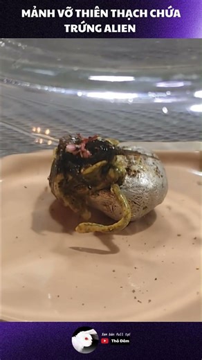 Sinh vật lạ giống venom? #creepy #alien