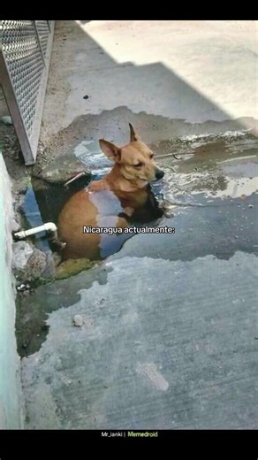 Nicaragua: Humor y Clima en el Presente
