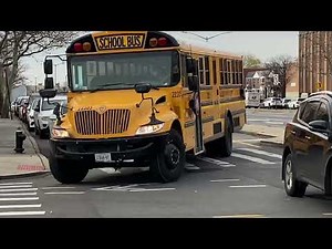Novo Bus #22305 Allied Transit Corp School Bus IC CE