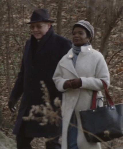 Anne & Raymond #theblacklist #foryoupage #reddington #viral #series | ray and anne