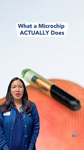 5.2K views · 26 reactions | Ever wonder how microchips work?  Watch to learn why this tiny device can make a huge difference in keeping your pet safe and sound. | VCA Animal Hospitals | Facebook