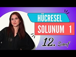 11) HÜCRESEL SOLUNUM 1 | 12. SINIF | DETAYLI KONU ANLATIMI | AYT 2024
