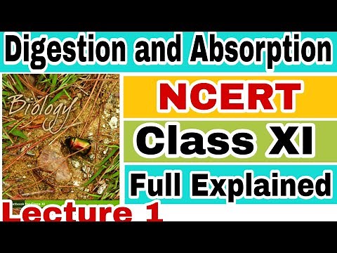 NCERT CH-16 DIGESTION AND ABSORPTION (HUMAN PHYSIOLOGY) Biology LECTURE 1 FOR NEET/AIIMS