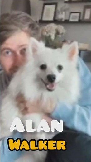 Alan Walker Face RevealedUnmasked Alan Walker | Alan Walker- Ignite #Anshika99_official