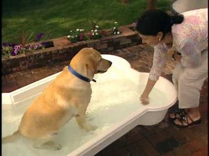 Bone Pool Commercial. Heavy Duty Play Pool for Dogs