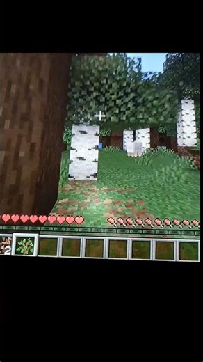 walking till I find a dark oak forest #minecraft song sleeping city