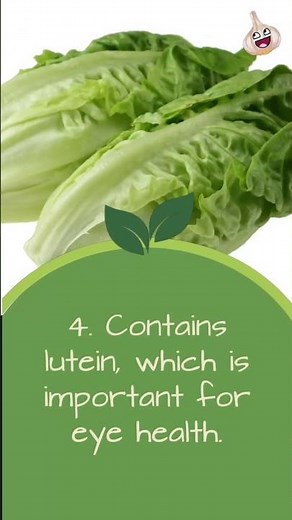 Romaine Lettuce’s Top 10 Benefits 🥰 #romainelettuce