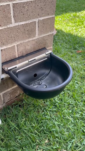 Fresh water on tap? This lucky pup is living the dream! Automatic filling dog bowls are the perfect way to make sure your dog always has fresh, clean drinking water available. No more empty bowls, no more stressing on those hot summer days. Message us to organise an install at your place. | Stay Afloat Plumbing PTY LTD