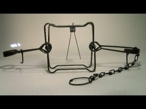 Conibear 220: Best Garden Groundhog Trap