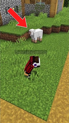 Minecraft but i can't see sheep🐑