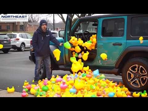 Used Vehicle of the week: 2020 Jeep Wrangler (Ducks not included)