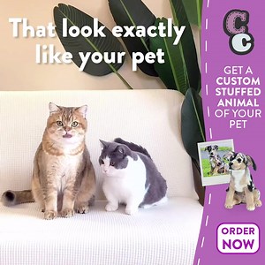 113K views · 4.5K reactions | Get the Original Plush Cuddle Clone!  Each one is handmade to look EXACTLY like your favorite pet AND it helps feed 20 shelter pets  Learn more --> | Cuddle Clones | Facebook