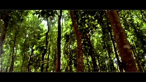 37 reactions · 20 shares | Sharing with you all some behind the scenes from Sigurado Music Video which will be released very soon. ✨ Pls continue to stream “Sigurado” on all digital streaming platforms  Thank you for the shots ate @deytskie  - Kiara | Imago | Facebook