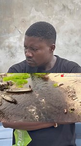 Mc DaSaint no problems just know tomorrow is pregnant | Mc Dave Comedian