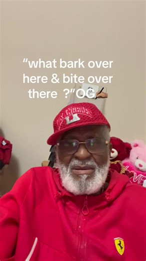 johnnyhaggerty (@johnnyhaggerty)’s videos with original sound - johnnyhaggerty