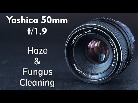 Yashica 50mm f/1.9 : Fungus and haze cleaning