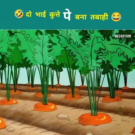 Two Brothers and Their Hilarious Dog Antics