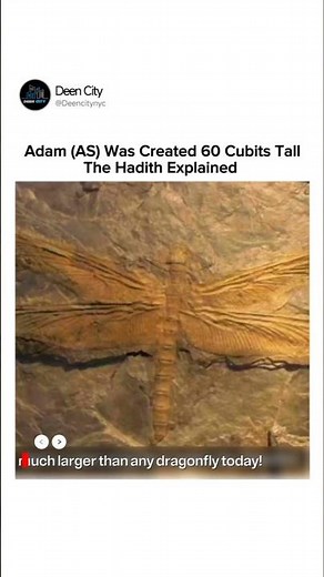 The FIRST Human Was a GIANT?! 😲 | Adam (AS) 60 Cubits Tall #islam #science