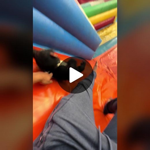 Funny Morning Time with Koba: Lion King Jungle Adventure