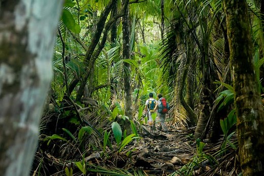 The 8 best hikes in Central America - Lonely Planet