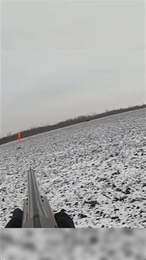 you never seen this type of rabbit hunt#hunthowdown #hunting #rabbit #rabithunting