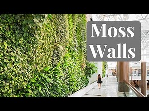 How to Build Your Own Moss Wall + FREE MOSS SAMPLE