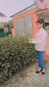 कोई नहीं है टक्कर में | VK Music