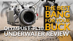 We're calling the Olympus PEN E-PL10 & Backscatter Limited Edition Octo Housing the "Best Bang For Your Buck" in underwater photography. This system seamlessly blends performance, versatility, and value into a travel-friendly compact package. Watch the video for a complete review, and visit the article linked below for even more info. https://www.backscatter.com/reviews/post/Olympus-E-PL10-Underwater-Camera-Housing-Review | Backscatter Underwater Video & Photo
