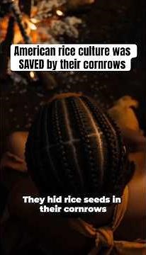 The History of Cornrows: What They Never Taught You #history #africa #naturalhair