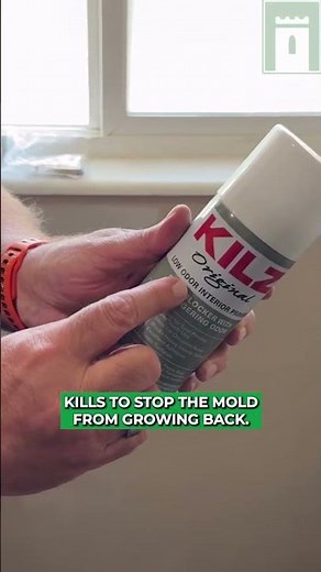 Fix Moldy Bathroom Floor Fast | Subfloor Rot & Water Damage DIY Repair