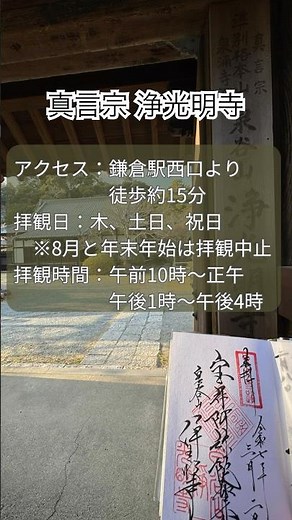 鎌倉の隠れた名刹・浄光明寺を巡る！ #鎌倉 #鎌倉観光 #歴史 #寺巡り #鎌倉散歩