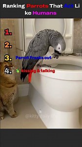 Ranking Parrots that Act like Humans