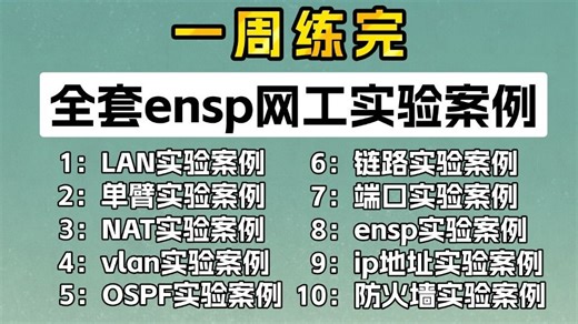 【网络工程师】这绝对是B站最全的ensp网工实验配置合集HCIA-HCIP HCIE（附IA   IP   IE实验拓扑 ENSP安装包）