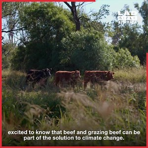 Aussie farmers are leading the way when it comes to sustainability - find out how. | Australian Good Meat