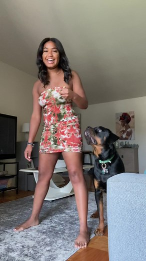 Training Your Rottweiler: Tips for Success and Patience